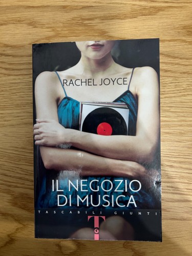 Negozio musica romanzo - il,
